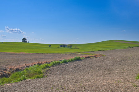 colors of a countryside landscape in Matera