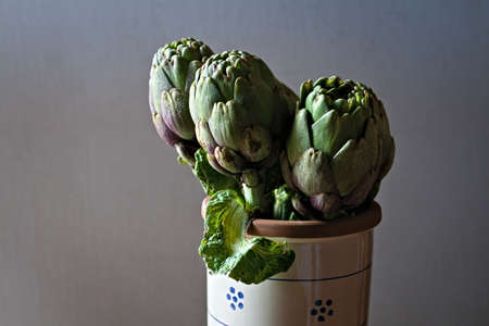 composition of artichokes in a terracotta potの写真素材