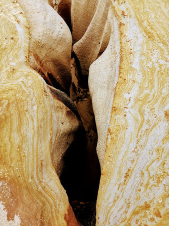 Crevice