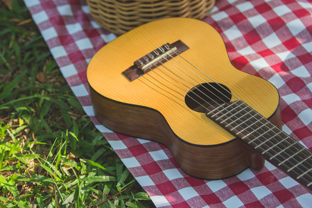 A guitar on a picnic mat. Outdoors recreation concept.の写真素材