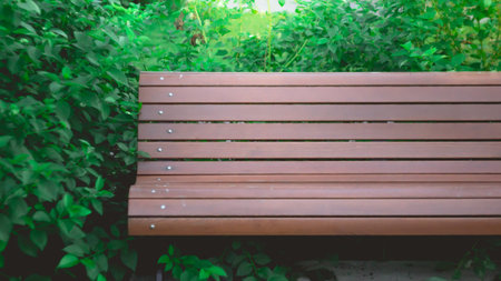 Relaxation and Cozy in Comfort Space with  Blank wooden bench in area of the garden or the park. Image for comfort space conceptの写真素材