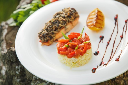 Rice with salmon on a white plate on a background of natureの写真素材