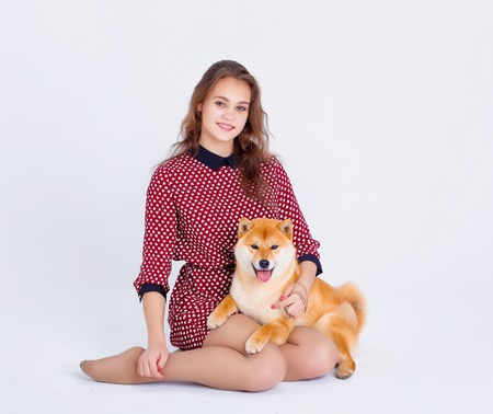 Japanese Shiba Inu dog near a window with the owner - a young girlの写真素材
