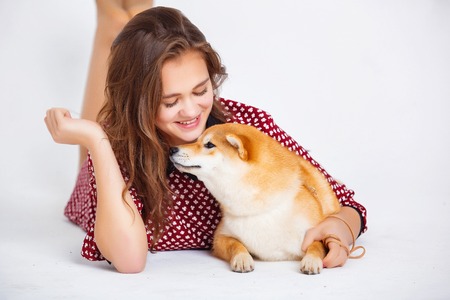 Japanese Shiba Inu dog near a window with the owner - a young girlの写真素材