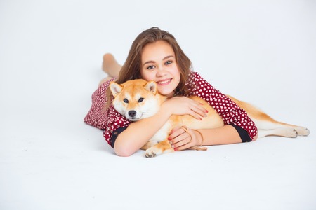 Japanese Shiba Inu dog near a window with the owner - a young girlの写真素材