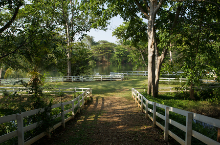 pathway in garden near the riverの写真素材
