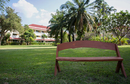Chair under big tree in the garden near hotelの写真素材