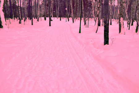 abstract winter landscape in pink colorsの写真素材