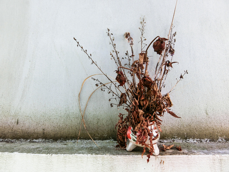Dried flower in old style ceramic vaseの写真素材