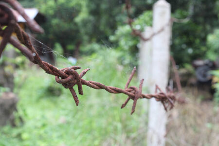 barbed wire fenceの写真素材