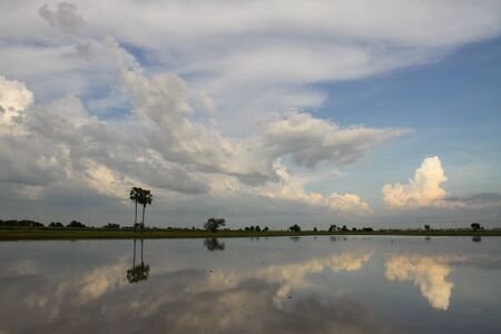 sceneryの写真素材