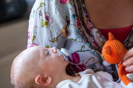 Shallow depth of field of Infant boy child with a pacifier, lies in his mothers arms with a orange knitted stuffed toy cat. Profile view.の写真素材