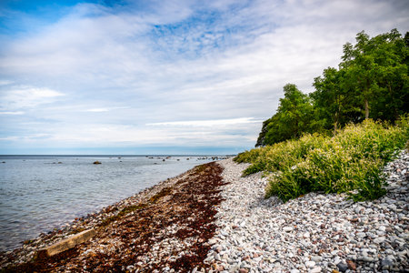 Beautiful summer view of a pebble stone beach with water horizon and sky on the island Gotland in...