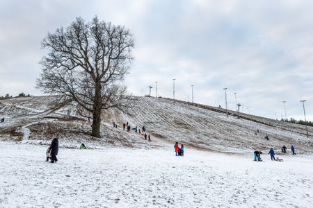 JARFALLA, SWEDEN - JANUARY 9, 2021: People outdoor having fun in the snow skiing and sledding on big grassy hill with snow in Jarfalla Sweden January 9, 2021.のeditorial素材