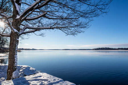 Beautiful calm and tranquil winter landscape scene with snowy tree and lake with blue sky horizon.の写真素材