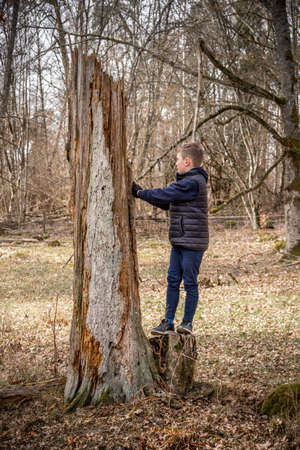 Rural spring scene with young boy exploring forest and nature. Pushing an old broken tree trunk.の写真素材