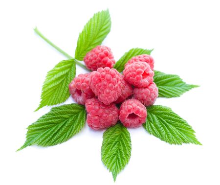 heap of ripe raspberries with leaves, isolated on whiteの写真素材