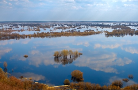 many trees in water-meadow, view from aboveの写真素材