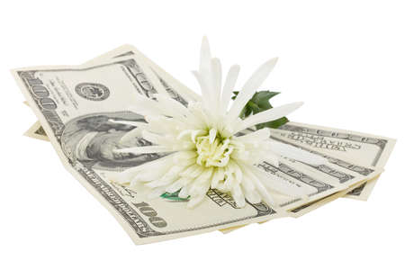 close-up dollars and flower, isolated on whiteの写真素材