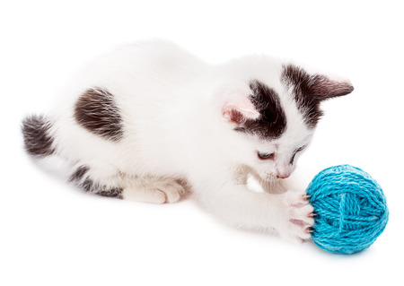 kitten playing with ball of yarn, isolated on whiteの写真素材