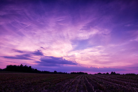 dramatic sunset in the field in autumn