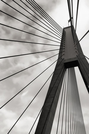 Anzac bridge in sydney, australiaのeditorial素材