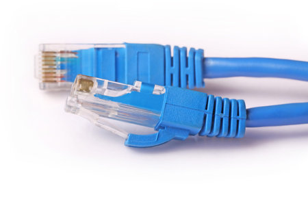 Two network rj45 plugins closeup
