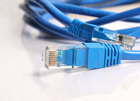 LAN blue Cat 5 Wire cable with RJ 45 Connector