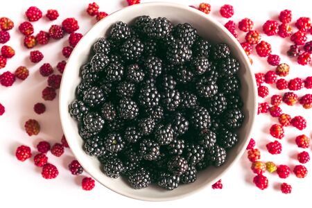 bowl with many blackberries and some red mulberryの写真素材