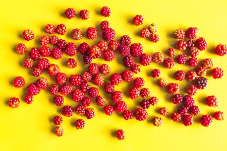 many red mulberry on yellow backgroundの写真素材