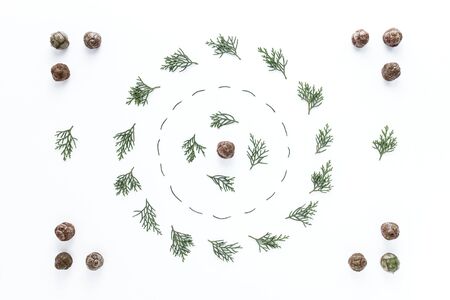 Shapes and lines with the fruits of the cypressの写真素材