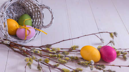 easter composition with the  colored eggs on a white wooden backgroundの写真素材