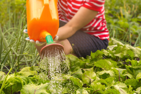 single woman watering garden sittingの写真素材