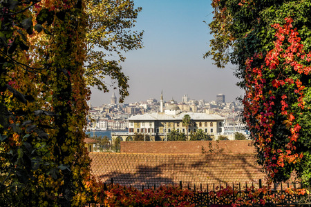 Galata Tower with autumn leavesの写真素材