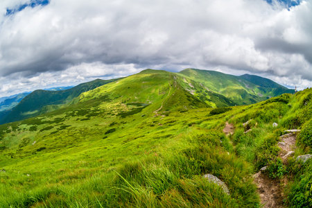 Carpathian Mountains. Mountain trail to the highest mountain of Ukraine Hoverla. Chornogora ridge.