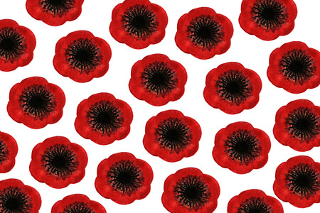 Pattern with red watercolor poppies on white background. Hand-drawn watercolor painted poppy background.の写真素材