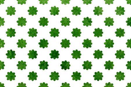Watercolor green flower pattern. Watercolor flowers on white background.の写真素材