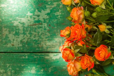 Orange roses on vintage wooden geen background. Soft focus.の写真素材