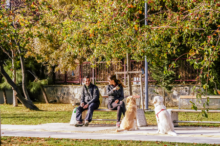 ISTANBUL, TURKEY - November, 2015: Man and woman with two dogs. Street Life in the Asian part of Istanbul in the Kadikoy district.のeditorial素材