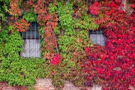 Facade of old house in Venice, Italy.の写真素材