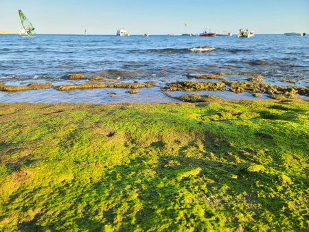 Green coast of the Red Sea in Sharm El Sheikh, Egypt.
