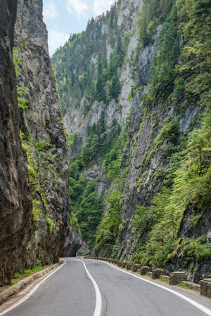 The Bicaz Gorge in Trasylvania, Romania.の写真素材