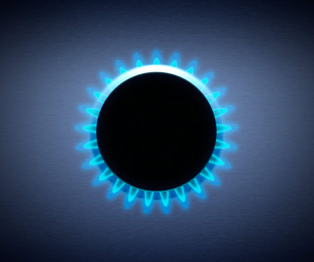 Cooker on natural gas, fossil fuel energy source
