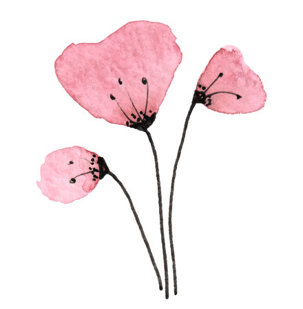 Watercolor poppies on a white background. vector illustration.のイラスト素材