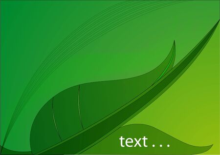 Abstract vector background - green leaf のイラスト素材