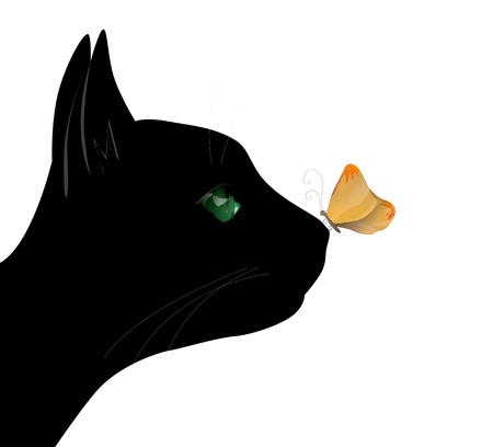 Butterfly on the cat noseのイラスト素材