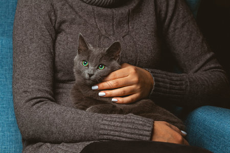 Woman with domestic gray cat in her handsの写真素材
