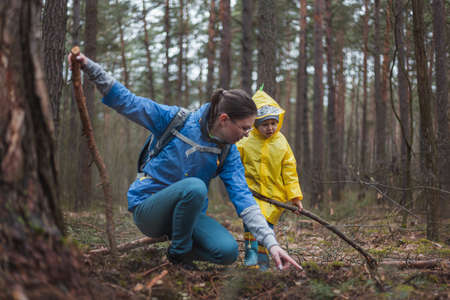 Mom and child walking in the forest after the rain in raincoats with wooden sticks in handsの写真素材
