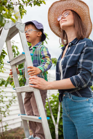 Mother and child on ladder tree, gardening in backyard gardenの写真素材