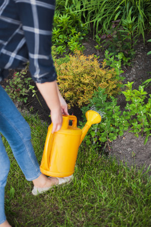 woman gardener watering plants in the garden in the backyardの写真素材
